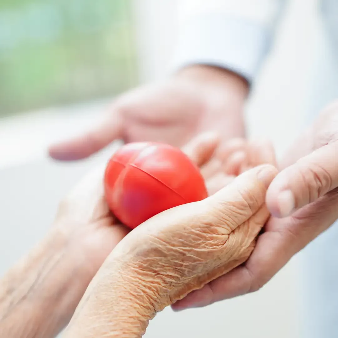 health port pallitive and elderly care
